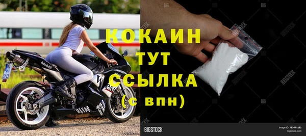 стафф Арсеньев